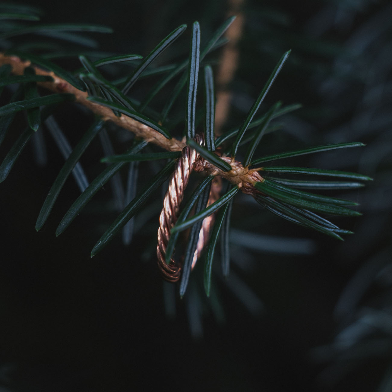 Copper tensor ring in rose gold color - Protective amulet
