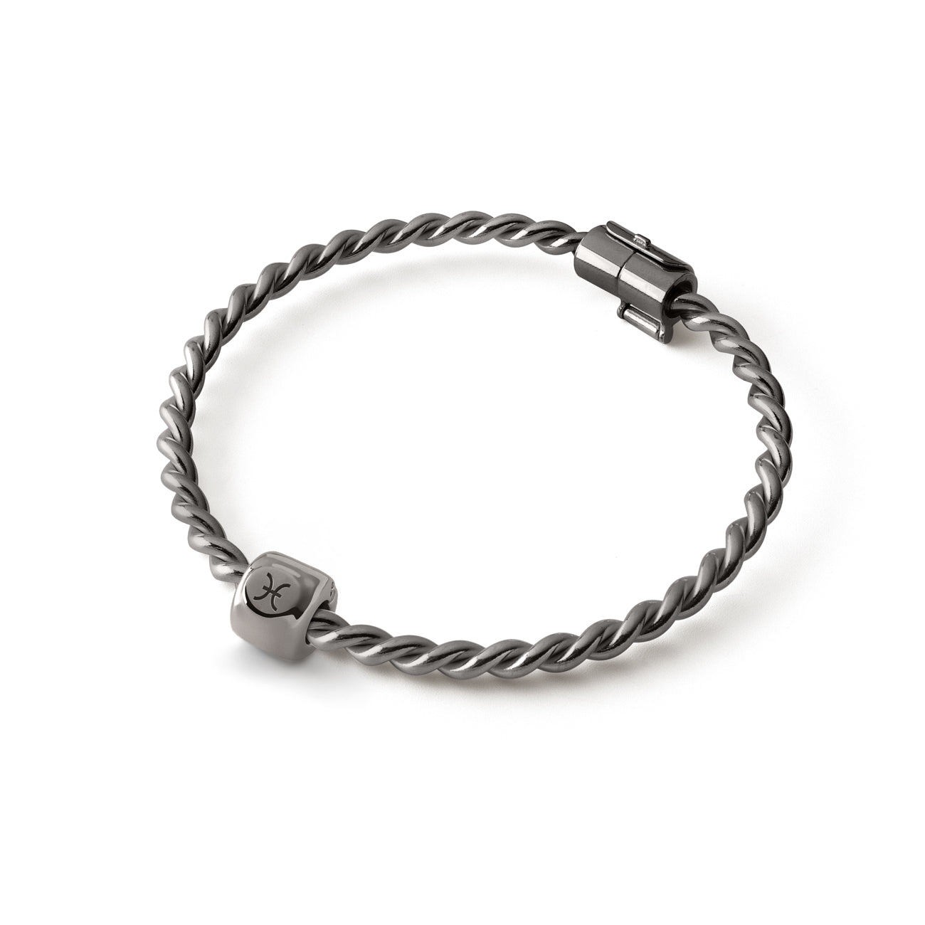 Charms - Pisces Zodiac Sign (♓︎) Black - Sterling Silver 925