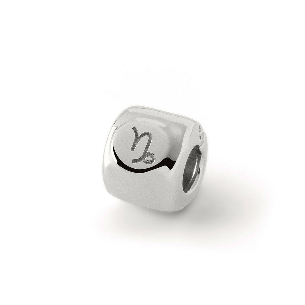 Capricorn Zodiac Sign Charms (♑︎) – Palladium-Plated Brass